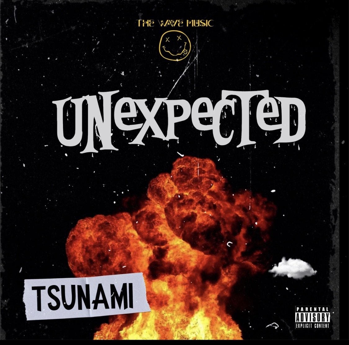 UNEXPECTED artwork shirt concept